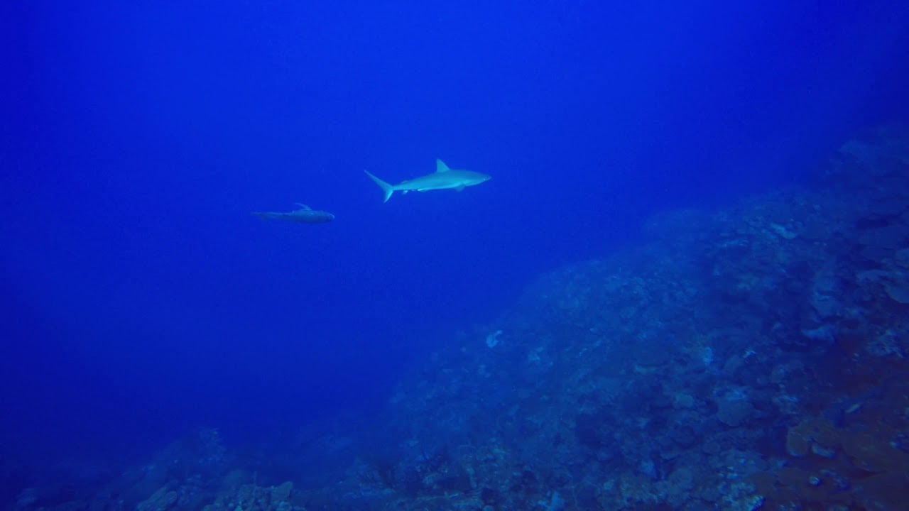 Amphitheater at Northwest Point