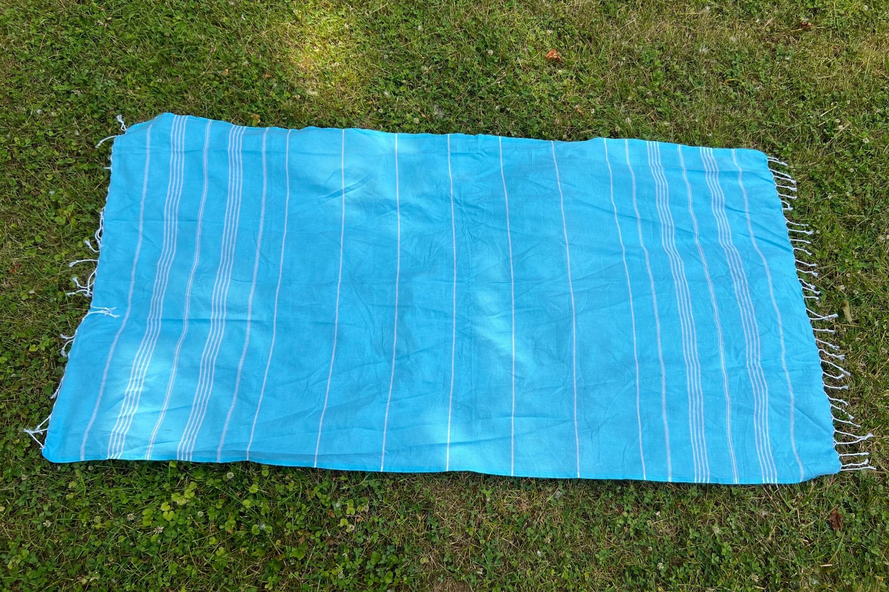 bay-laurel-turkish-size
