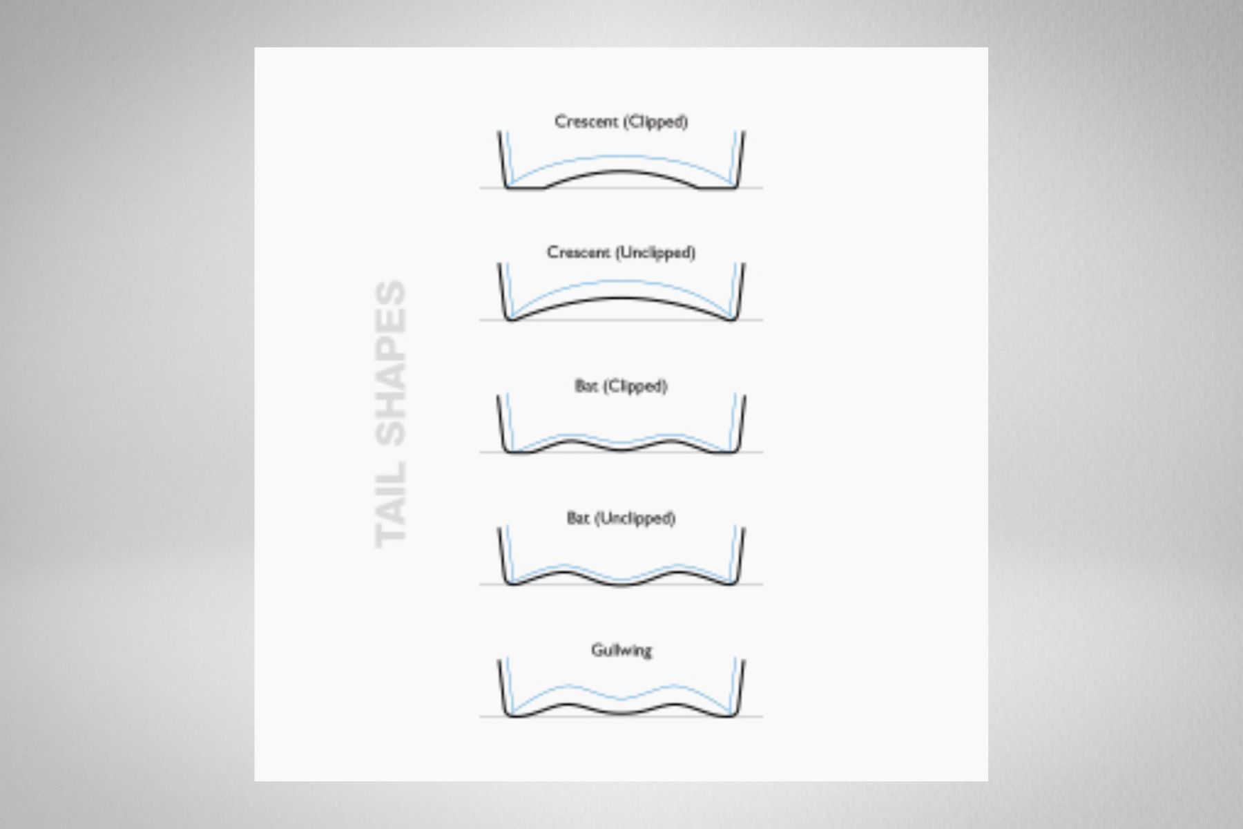 Boogie Boards Tail Shape
