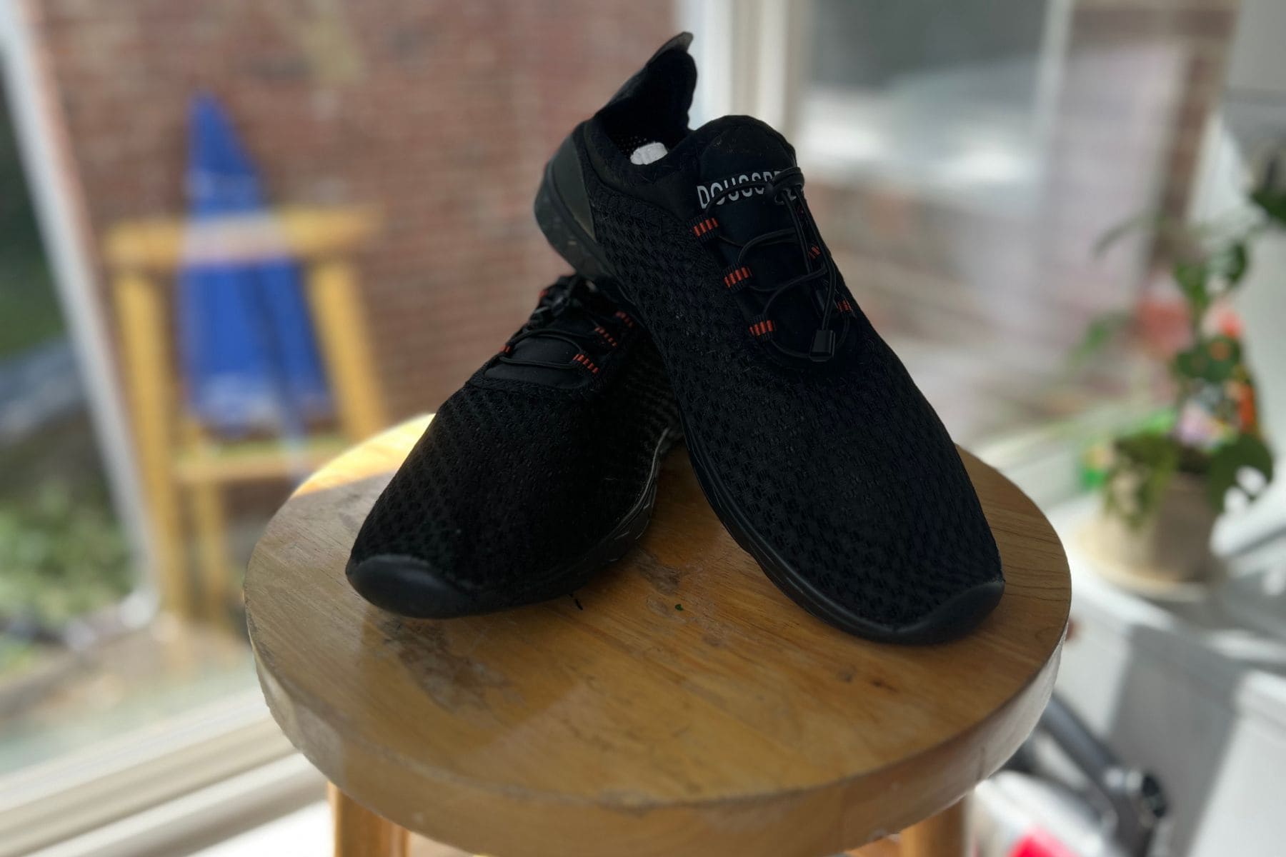 doussprt website