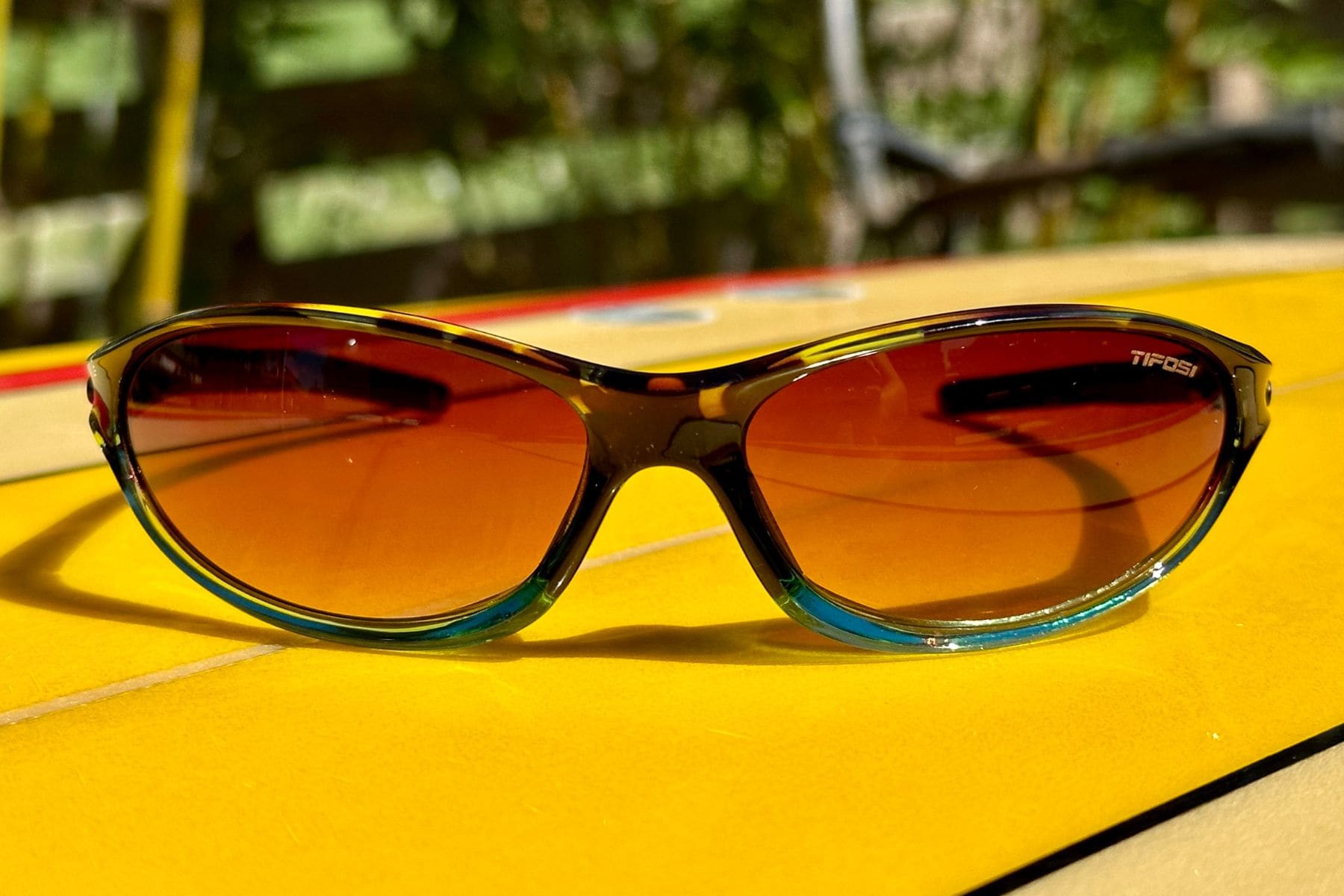 stylish tifosi alpe