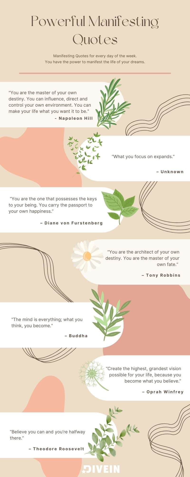 Manifesting Quotes Infographic for daily manifestation