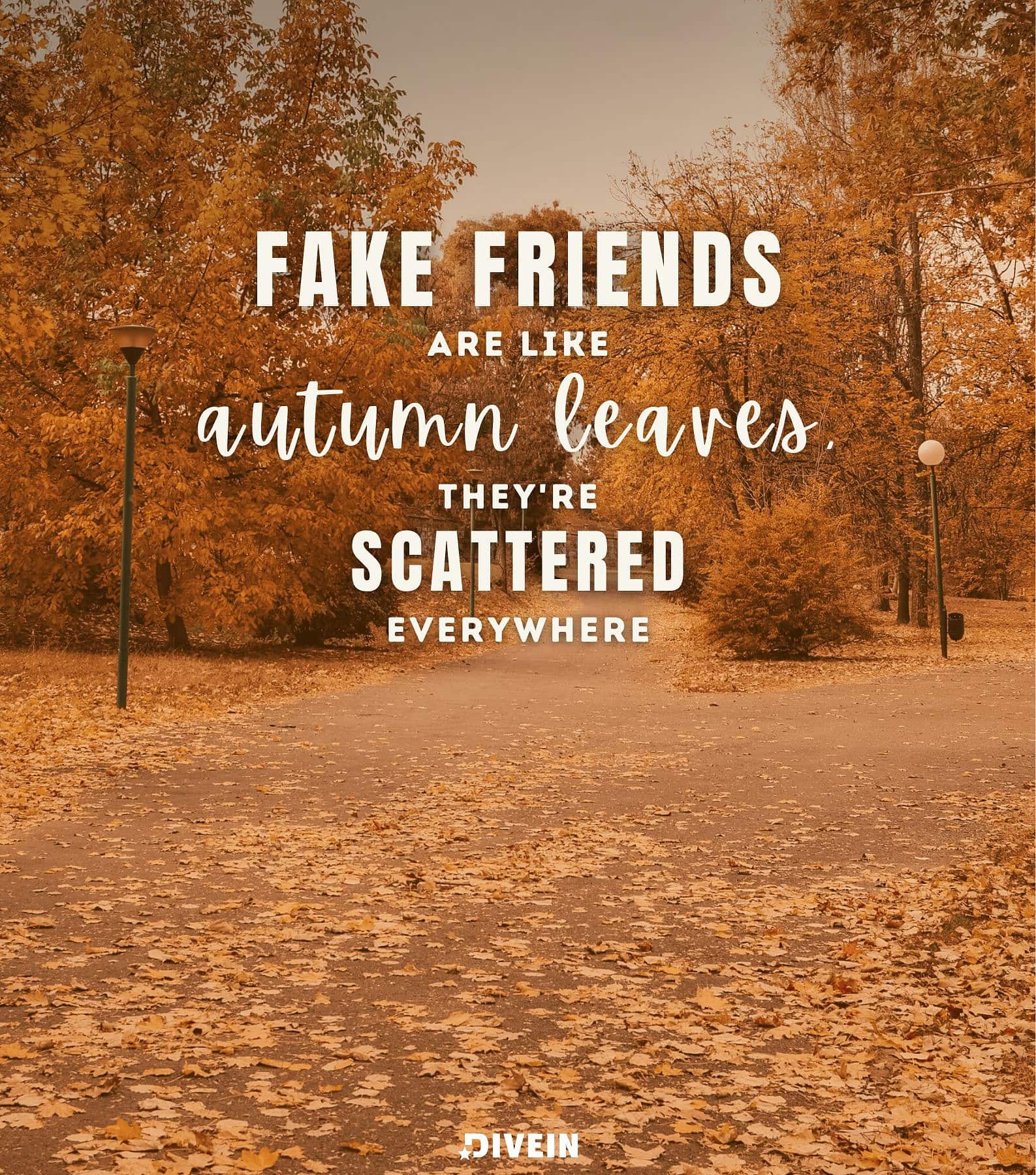 Fake Friends Quotes. Fake friends are like autumn leaves, they are scattered everywhere.