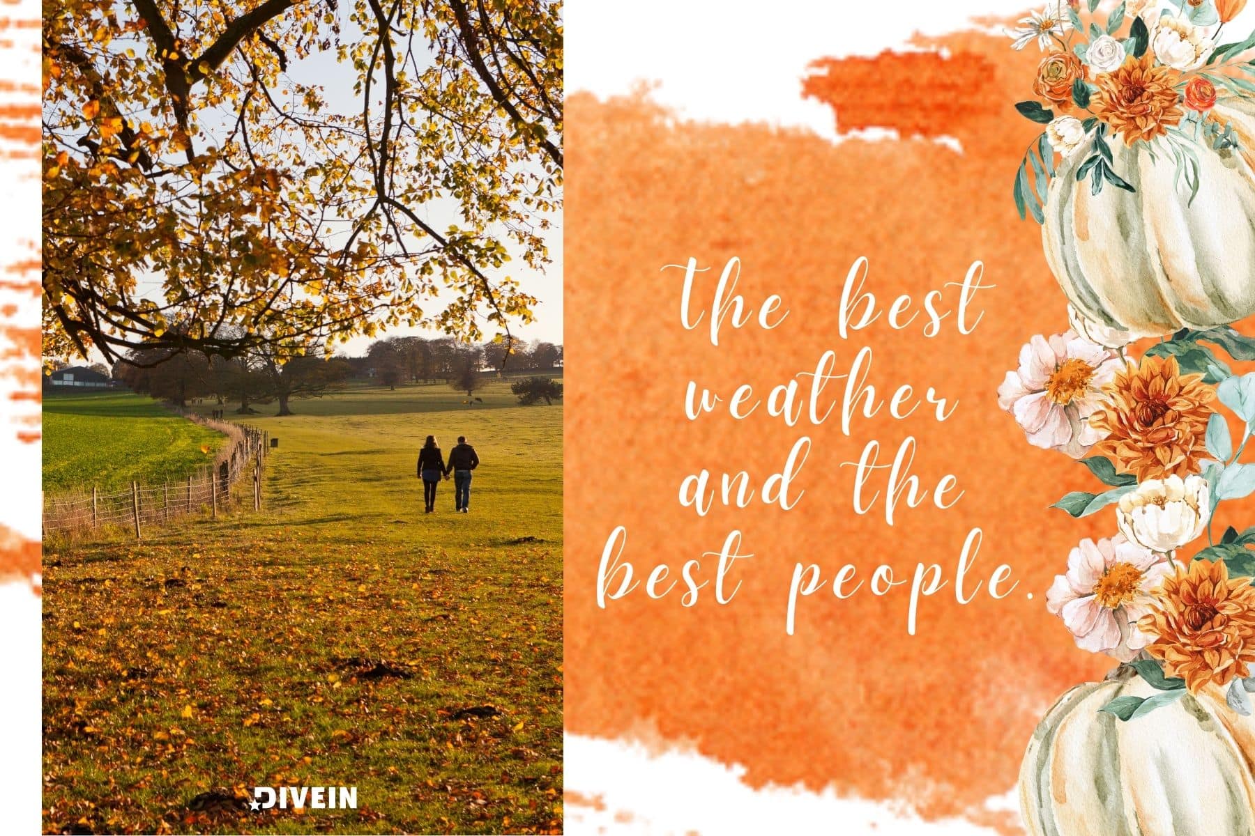 simple fall captions. the best weather and the best people