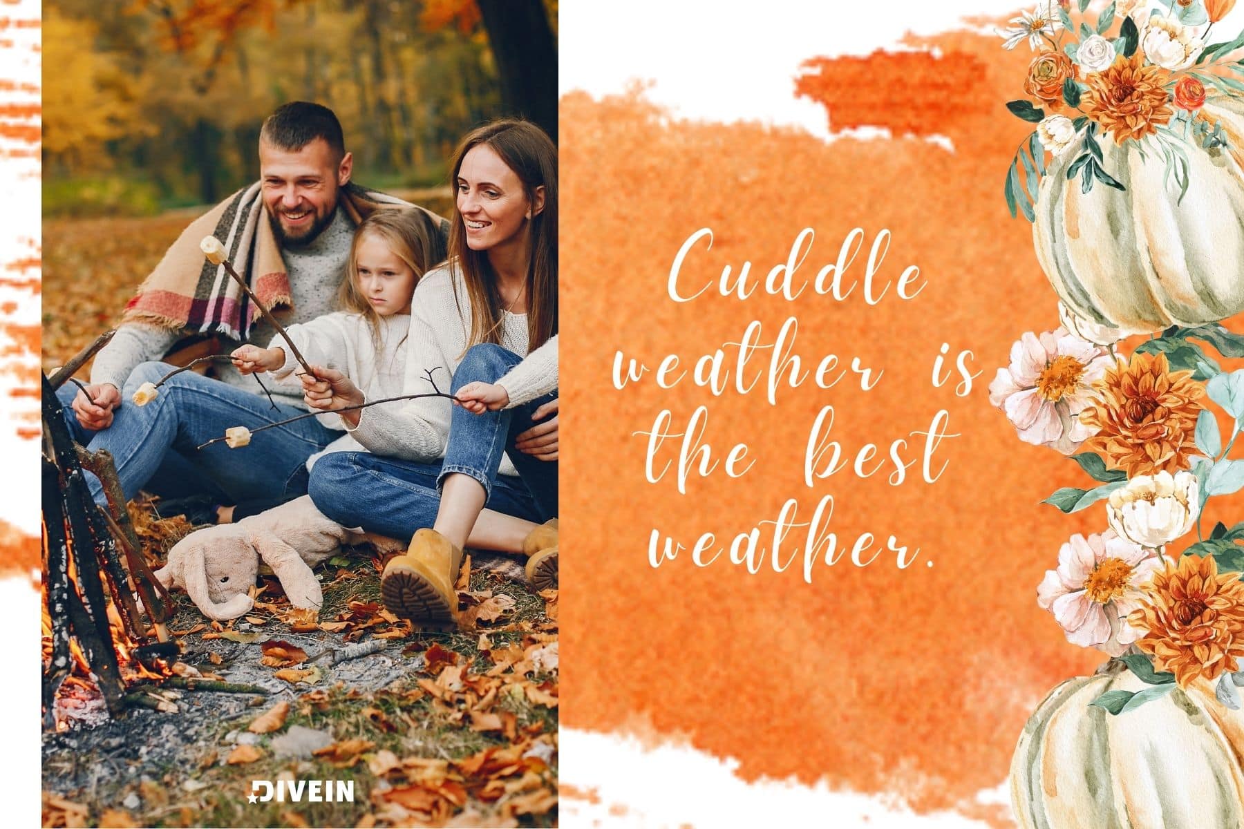 fall captions for couples. cuddle weather is the best weather