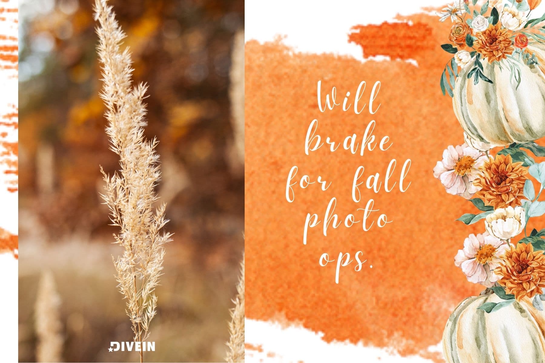 selfie fall captions. will brake for fall photo ops