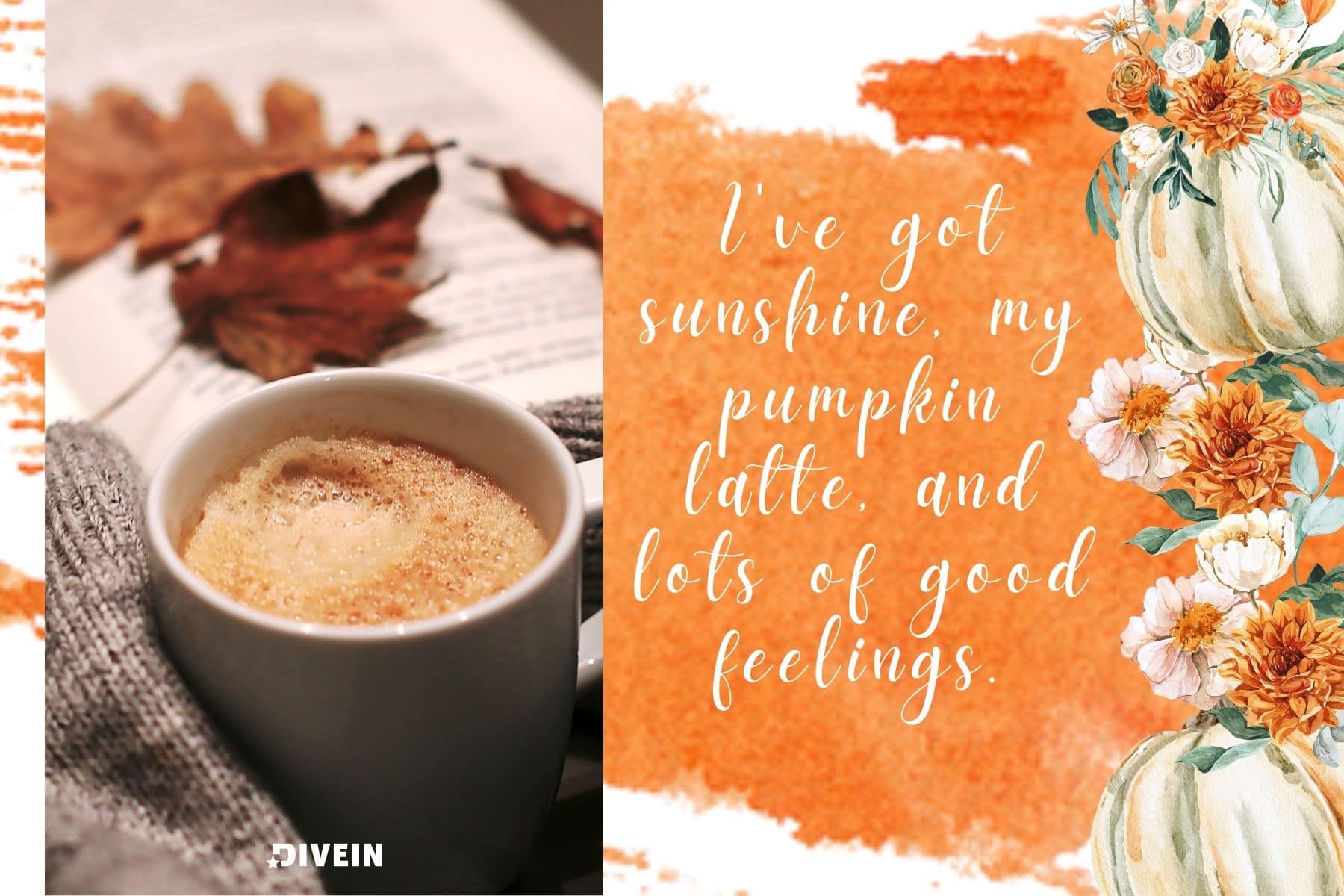 selfie fall captions. ive got sunshine my pumpkin latte and lots of good feelings