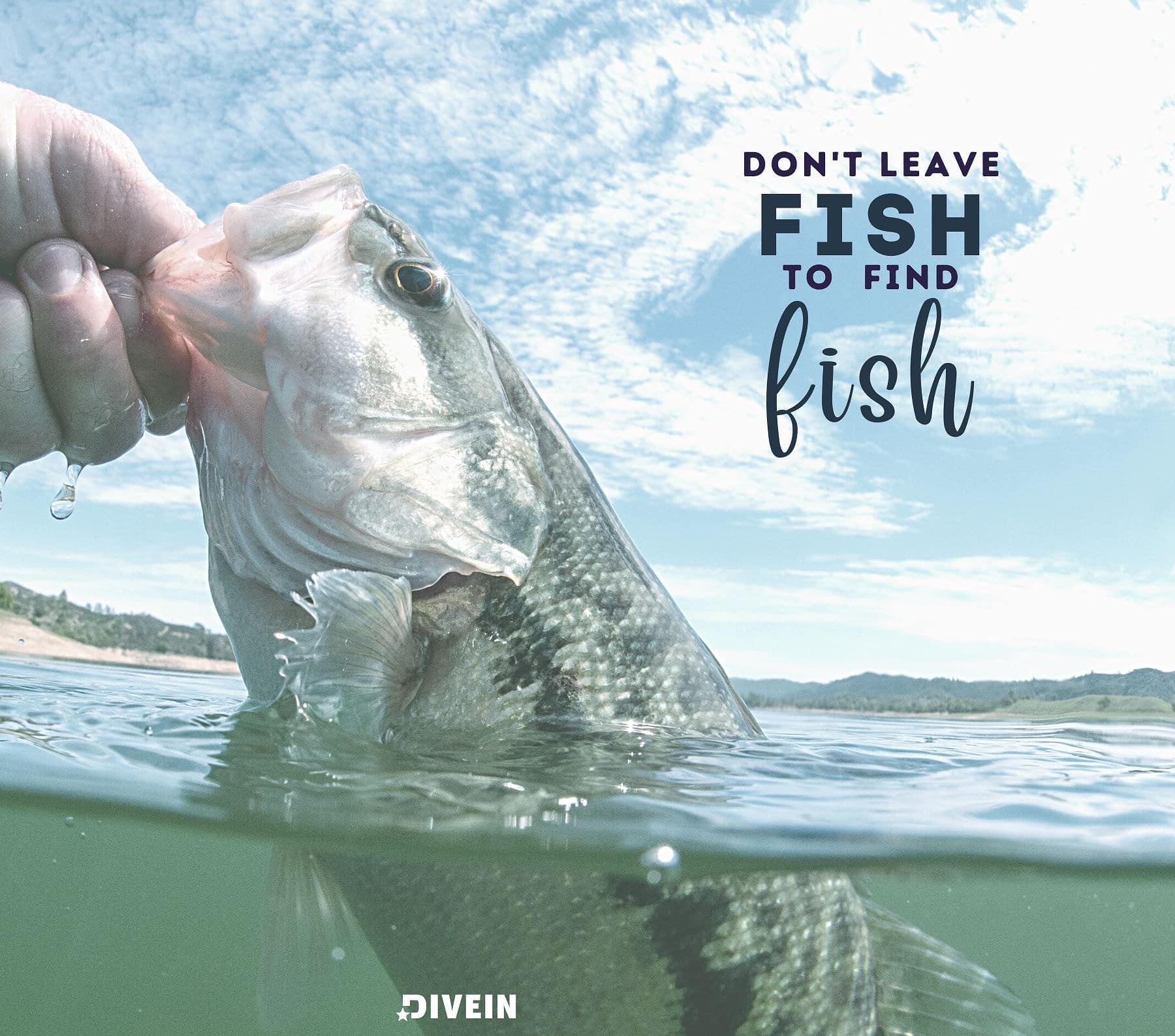 Bass Fishing Quotes for Instagram. Don’t leave fish to find fish.