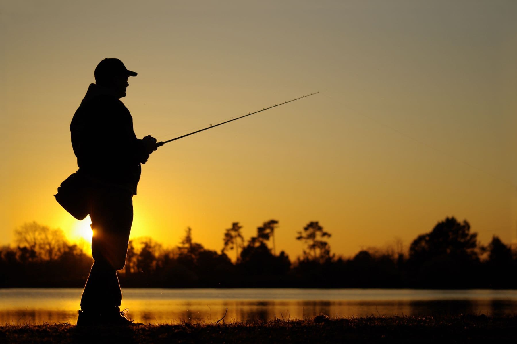 Fishing Quotes