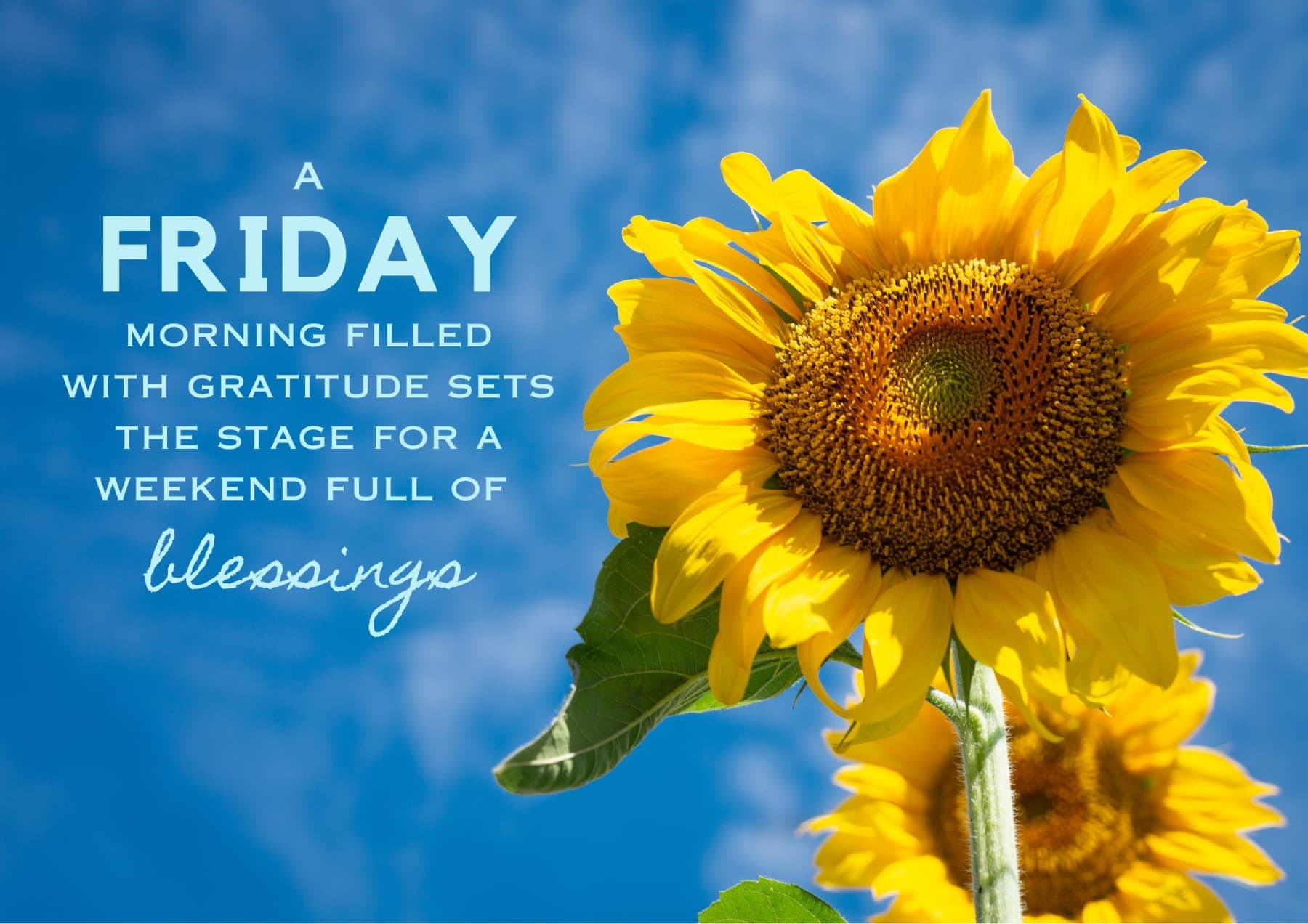 Friday Quotes A Friday Morning Filled With Gratitude Sets The Stage For A Weekend Full Of Blessings