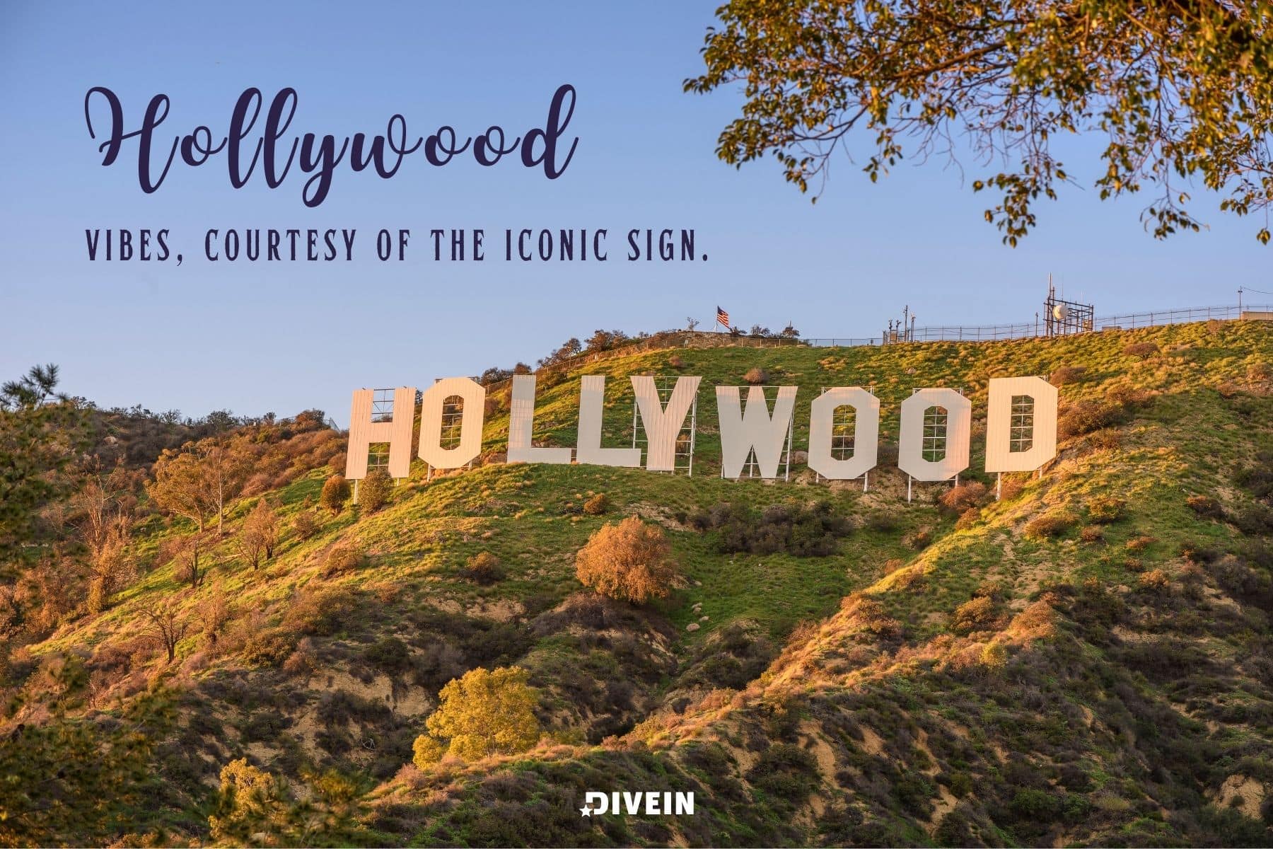 hollywood sign instagram captions