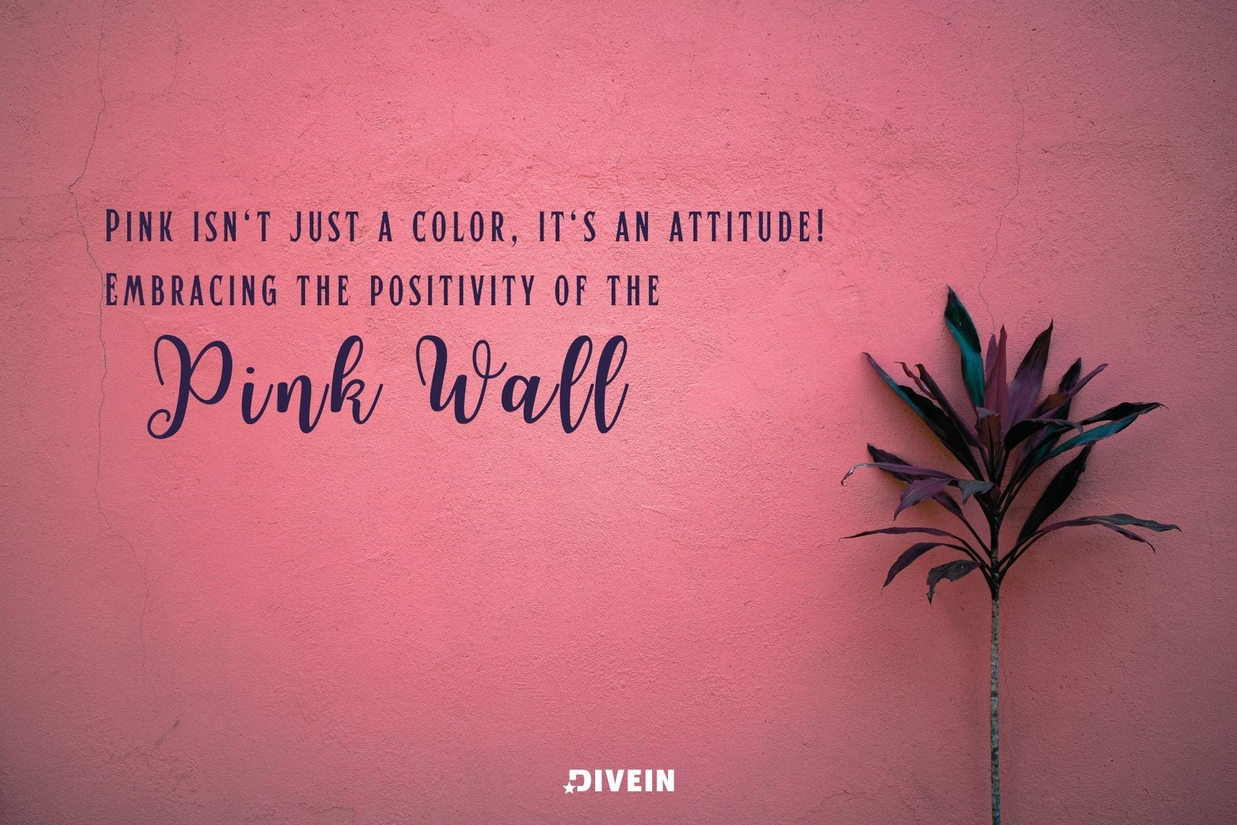 pink wall instagram captions
