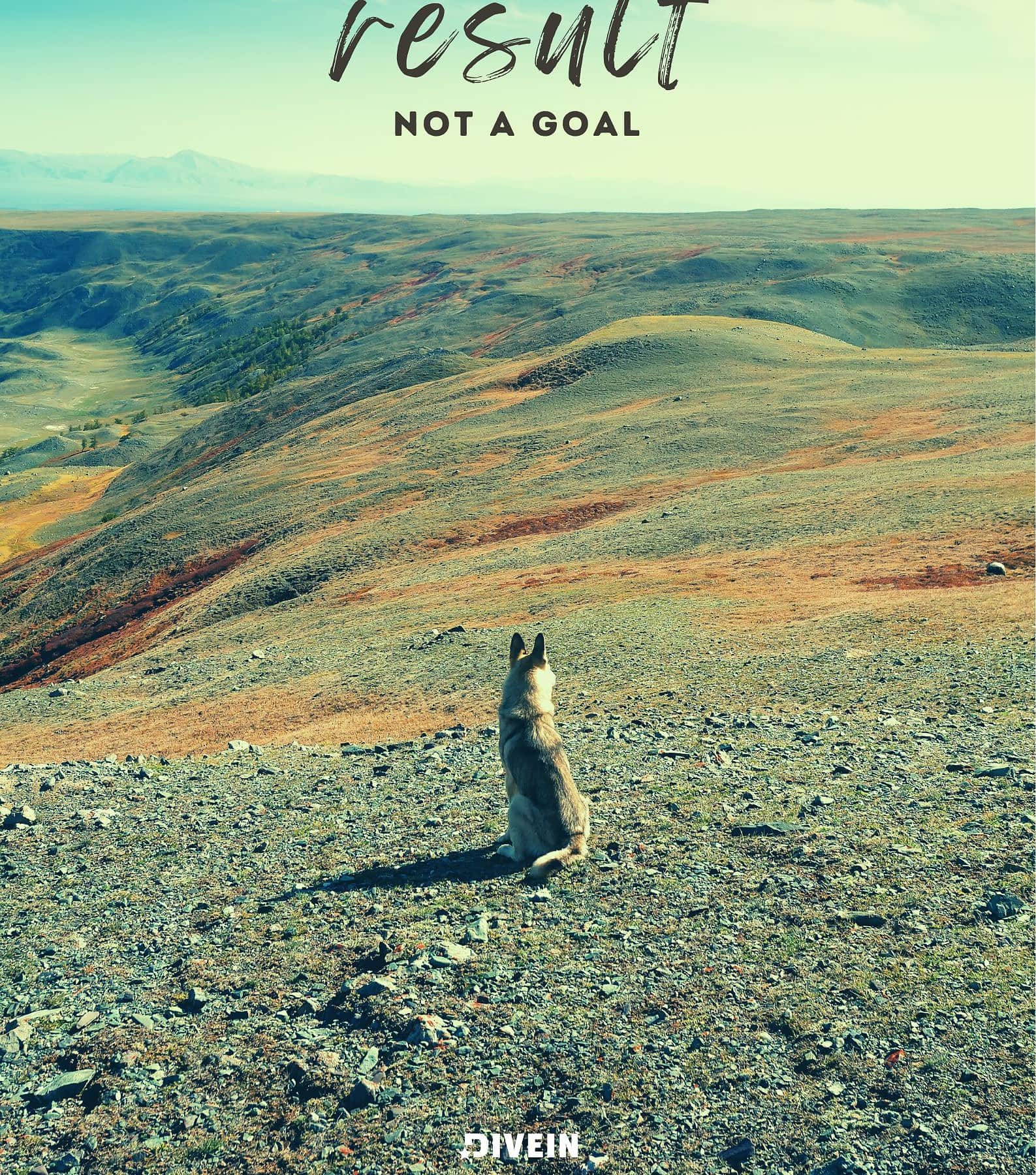 Money is a result, not a goal.