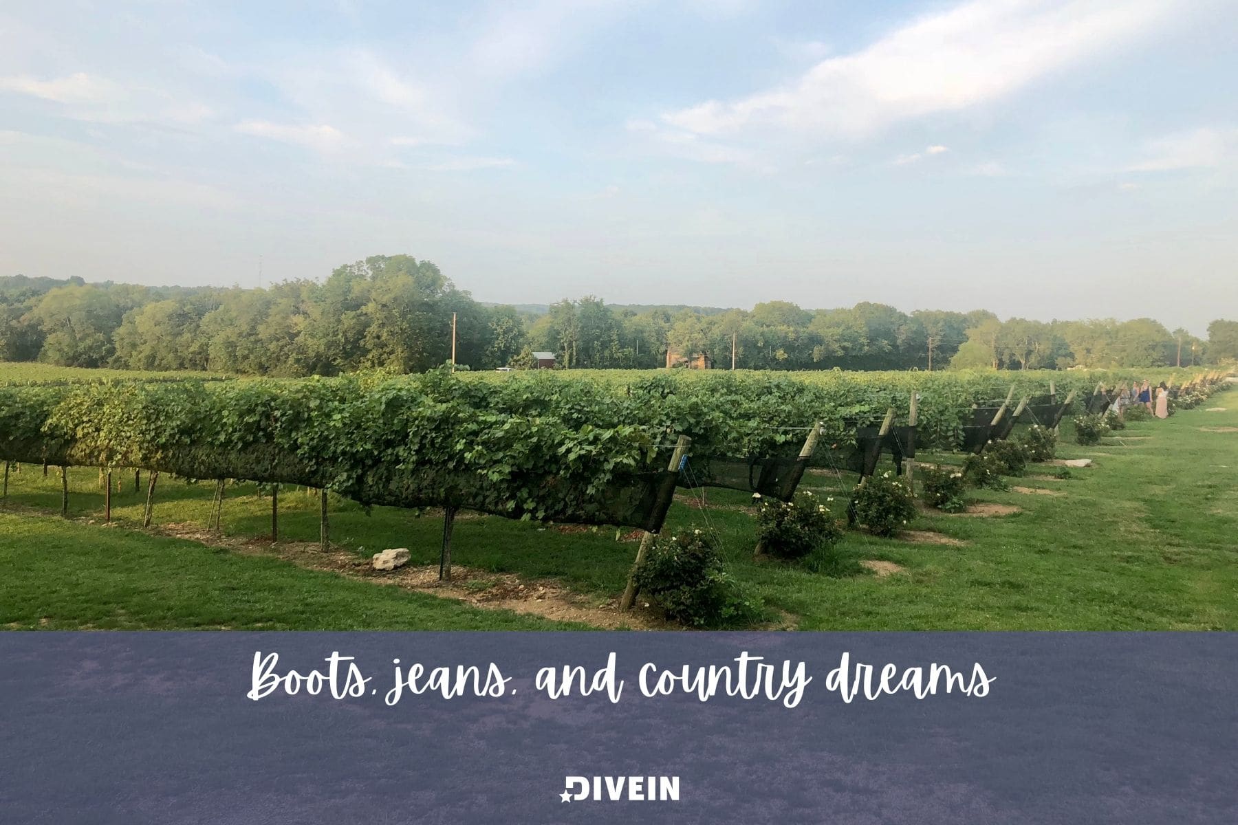 nashville farm captions. boots jeans and country dreams