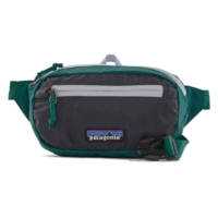 patagonia-ultralight-mini-hip-pack-product-picture.jpg