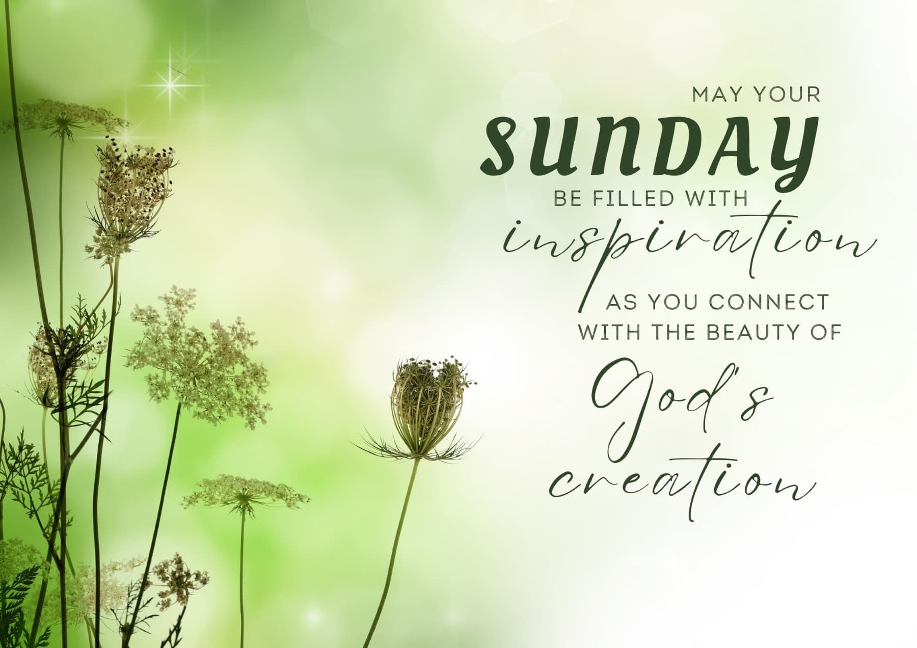 Sunday Quotes May Your Sunday Be Filled With Inspiration As You Connect With The Beauty Of Gods Creation