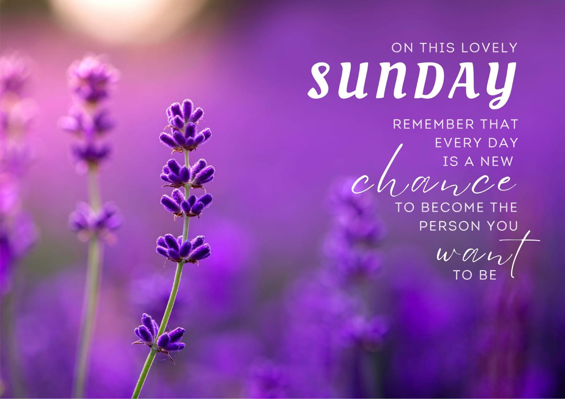260 Positive Inspirational Quotes For Sunday Mornings Outoria