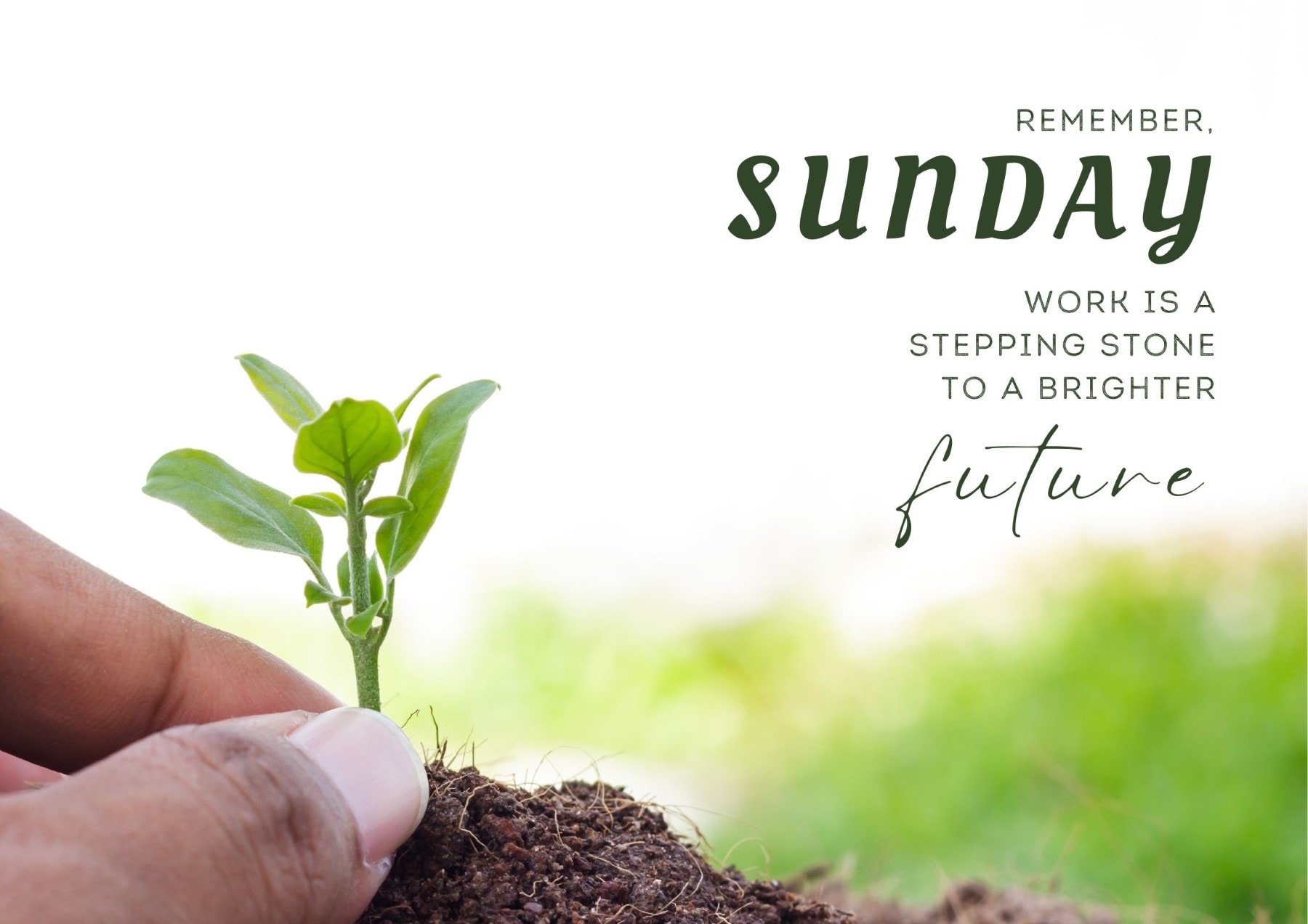 sunday-quotes-remember-sunday-work-is-a-stepping-stone-to-a-brighter-future