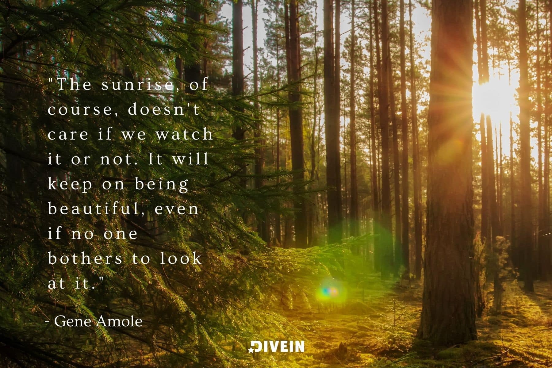 famous sunrise quote by gene amole. the sunrise, of course, doesn't care if we watch it or not. it will keep on being beautiful, even if no one bothers to look at it.