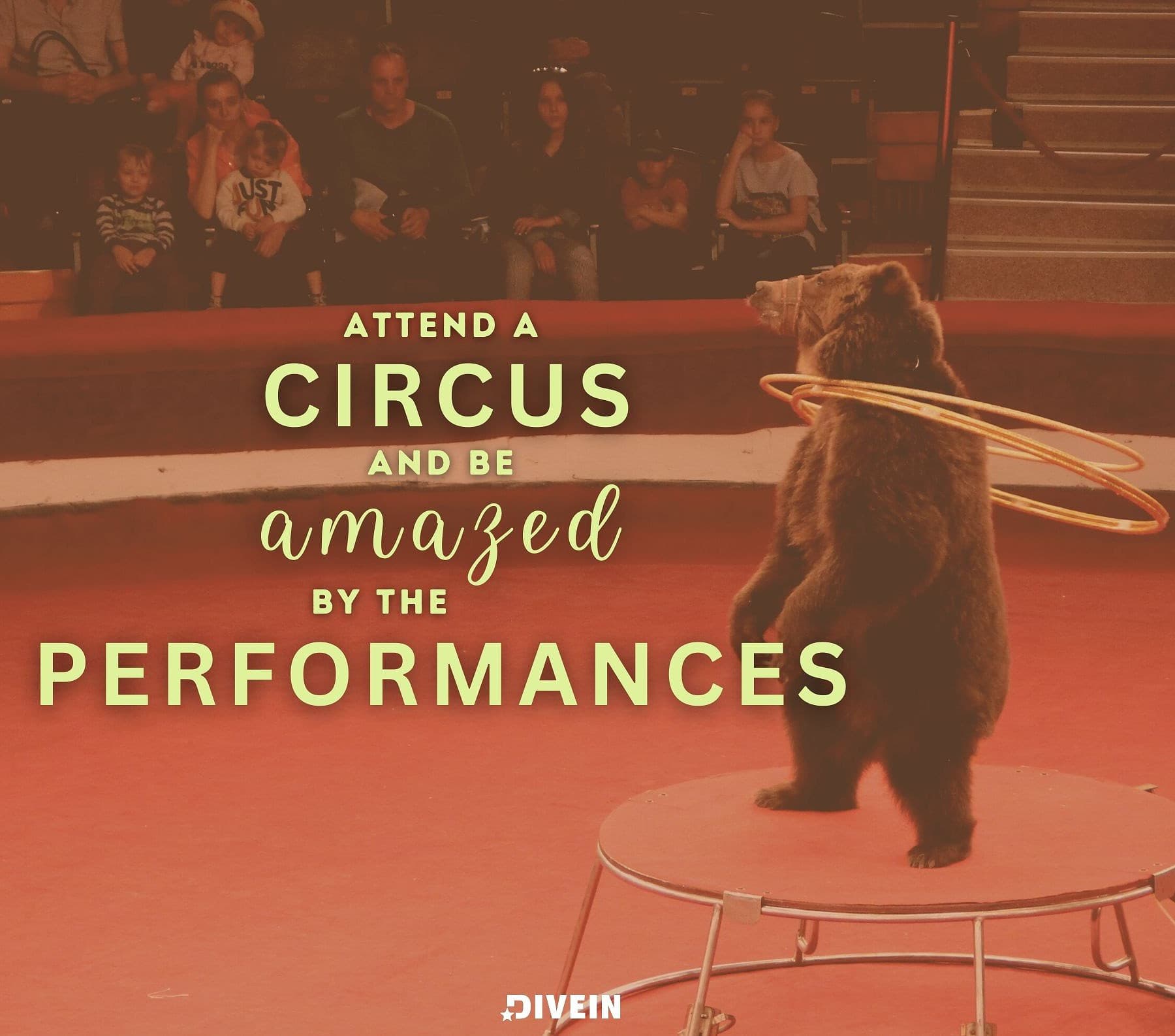 things to do with your boyfriend performances