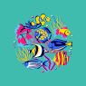 tropical fish