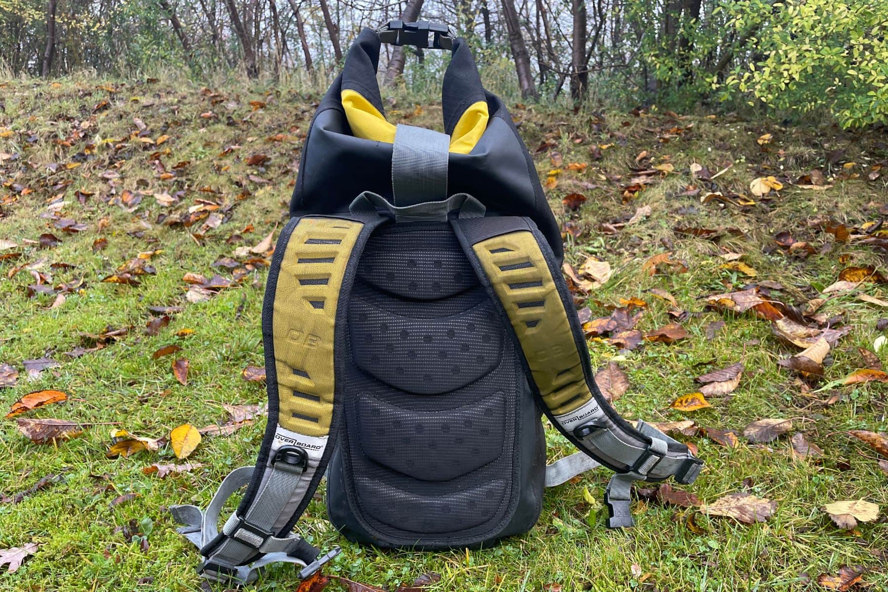 Back View Overboard Classic Waterproof Backpack