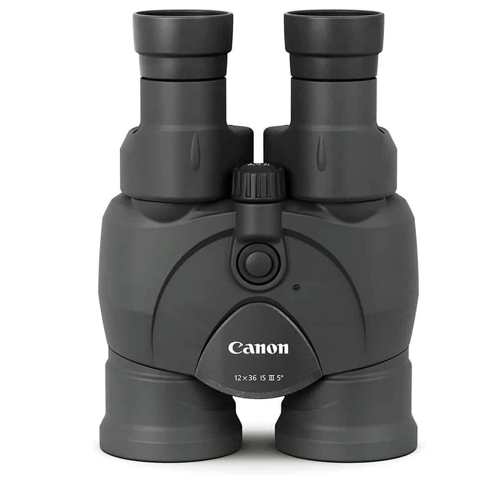 canon-is-ii-standing.jpg