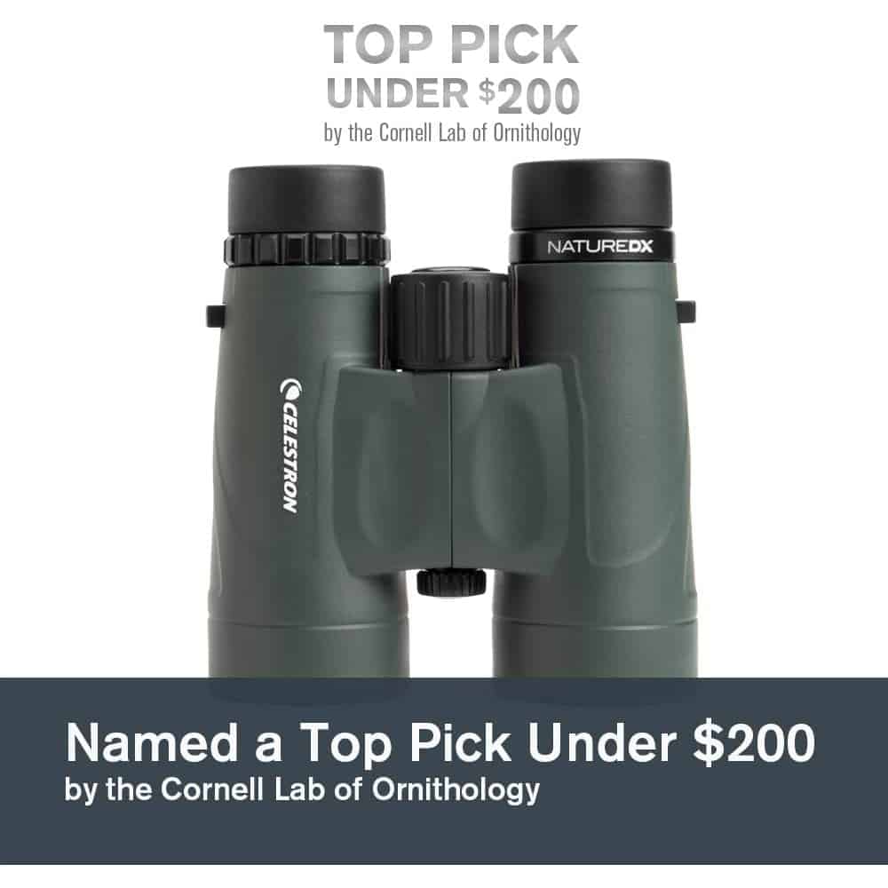 celestron-nature-dx-8-x42ergonomics.jpg