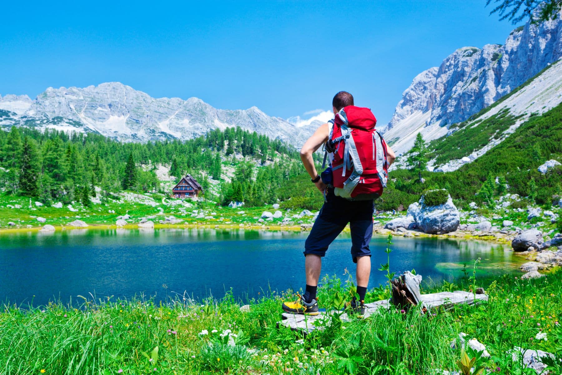 Choosing Best Hiking Shoe Hiker Staring At Trail