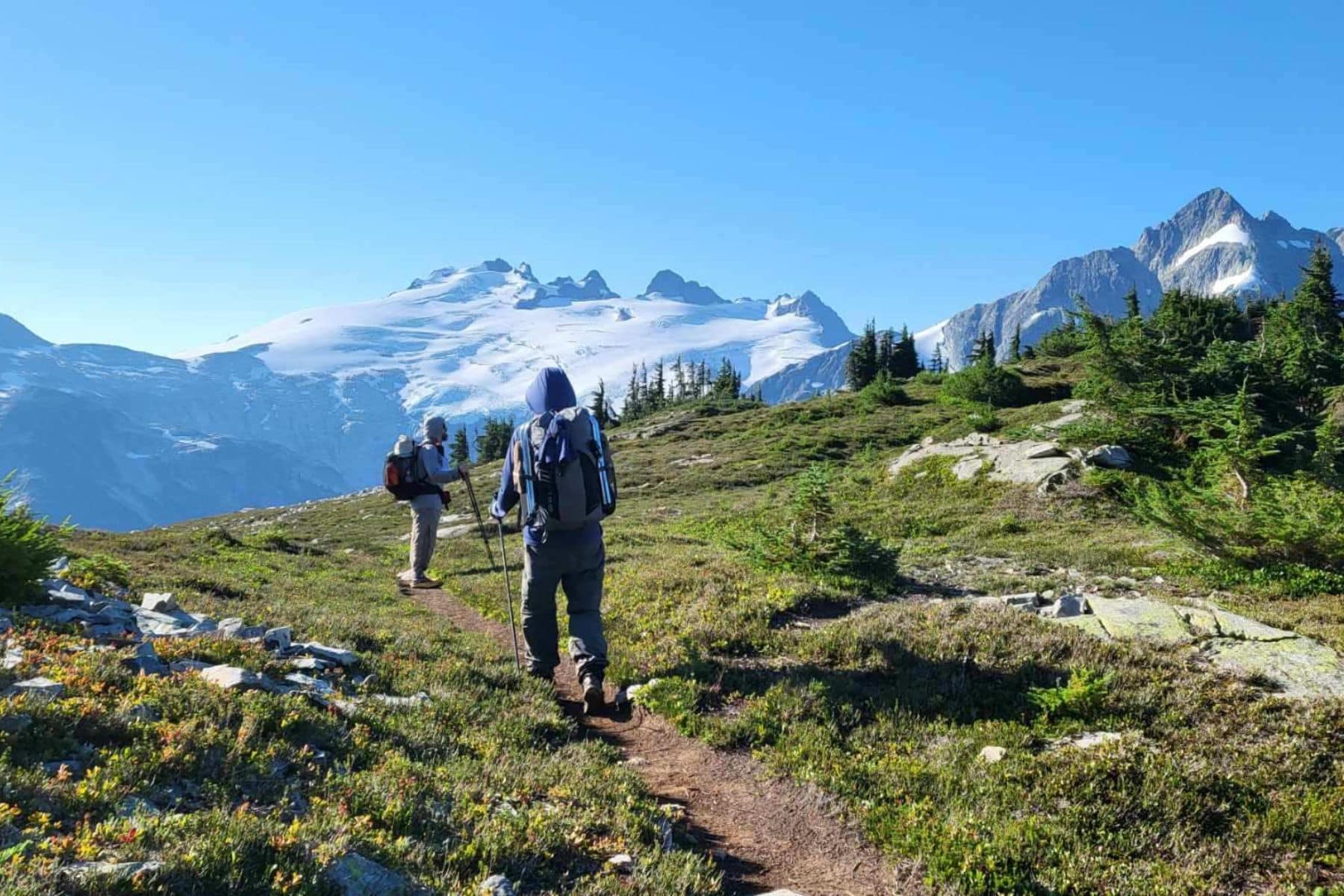 Difference Between Hiking And Trekking Shoes Established Trail