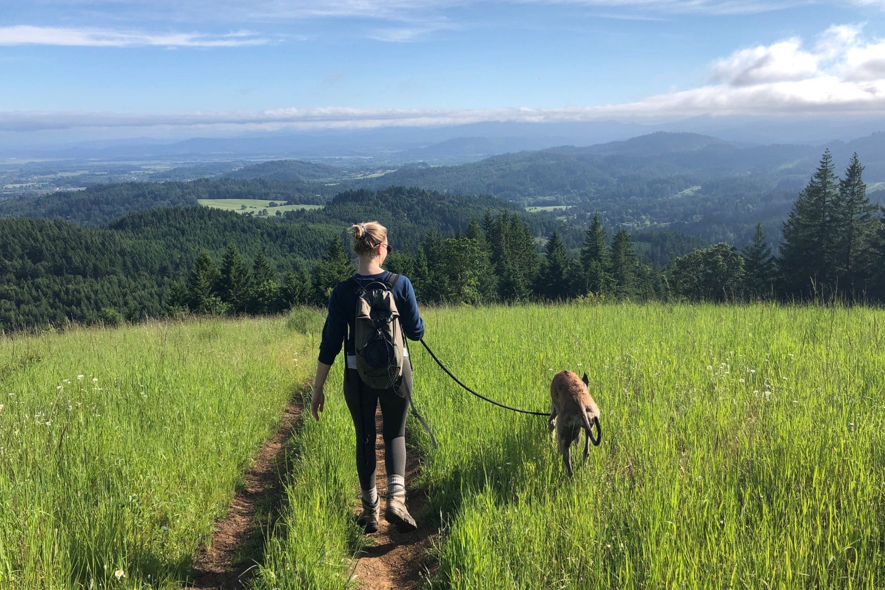Difference Between Hiking And Trekking Shoes Gentle Terrain