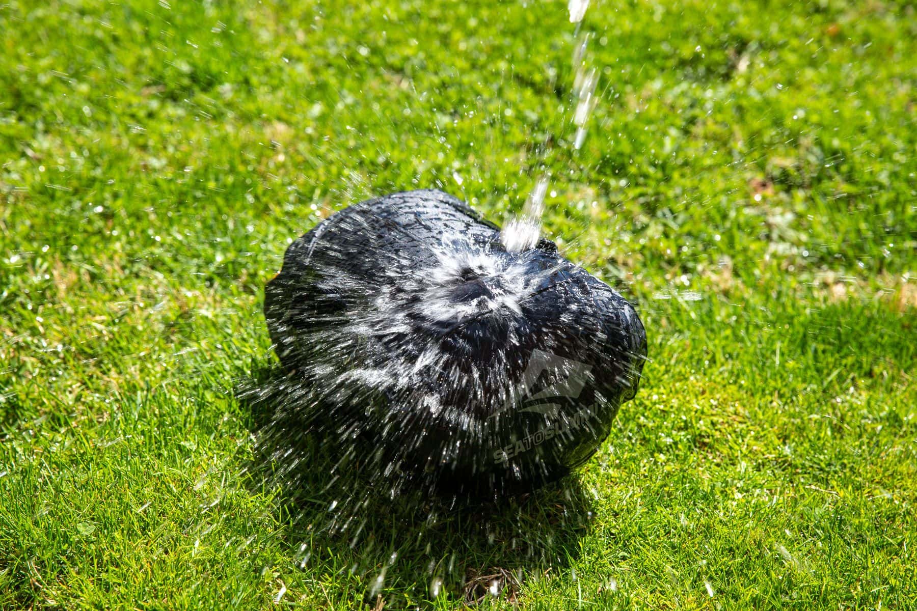 Subjecting the Evac to our rigorous garden hose trials
