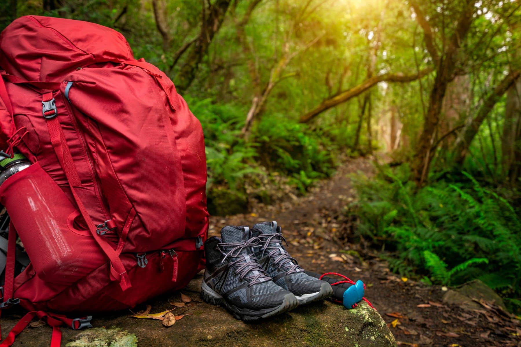 Hiking Backpack Big