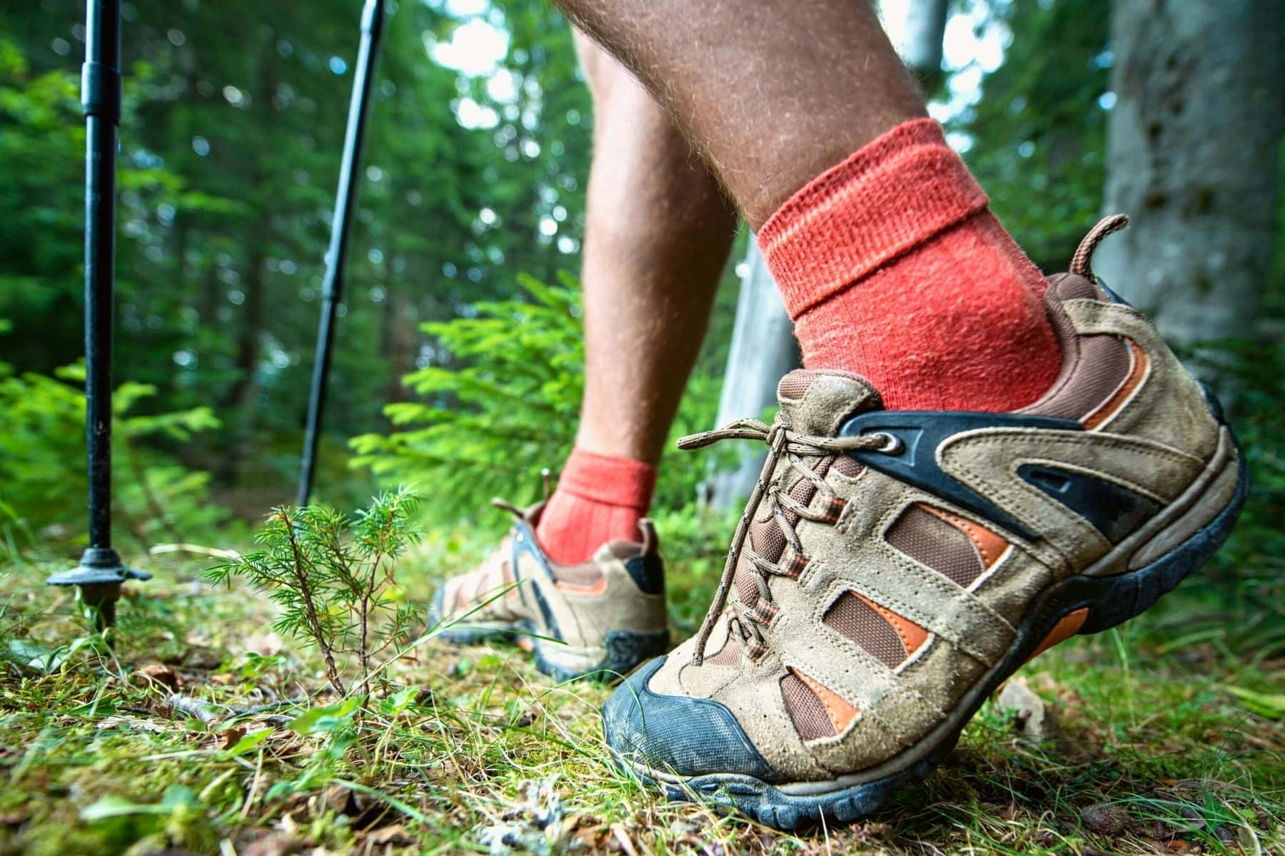 Hiking Boots