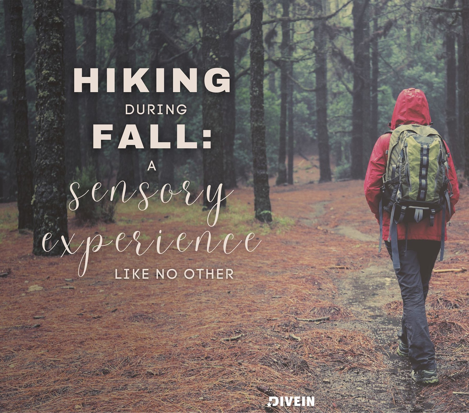 Fall Hiking Captions For Instagram. Hiking during fall: a sensory experience like no other.
