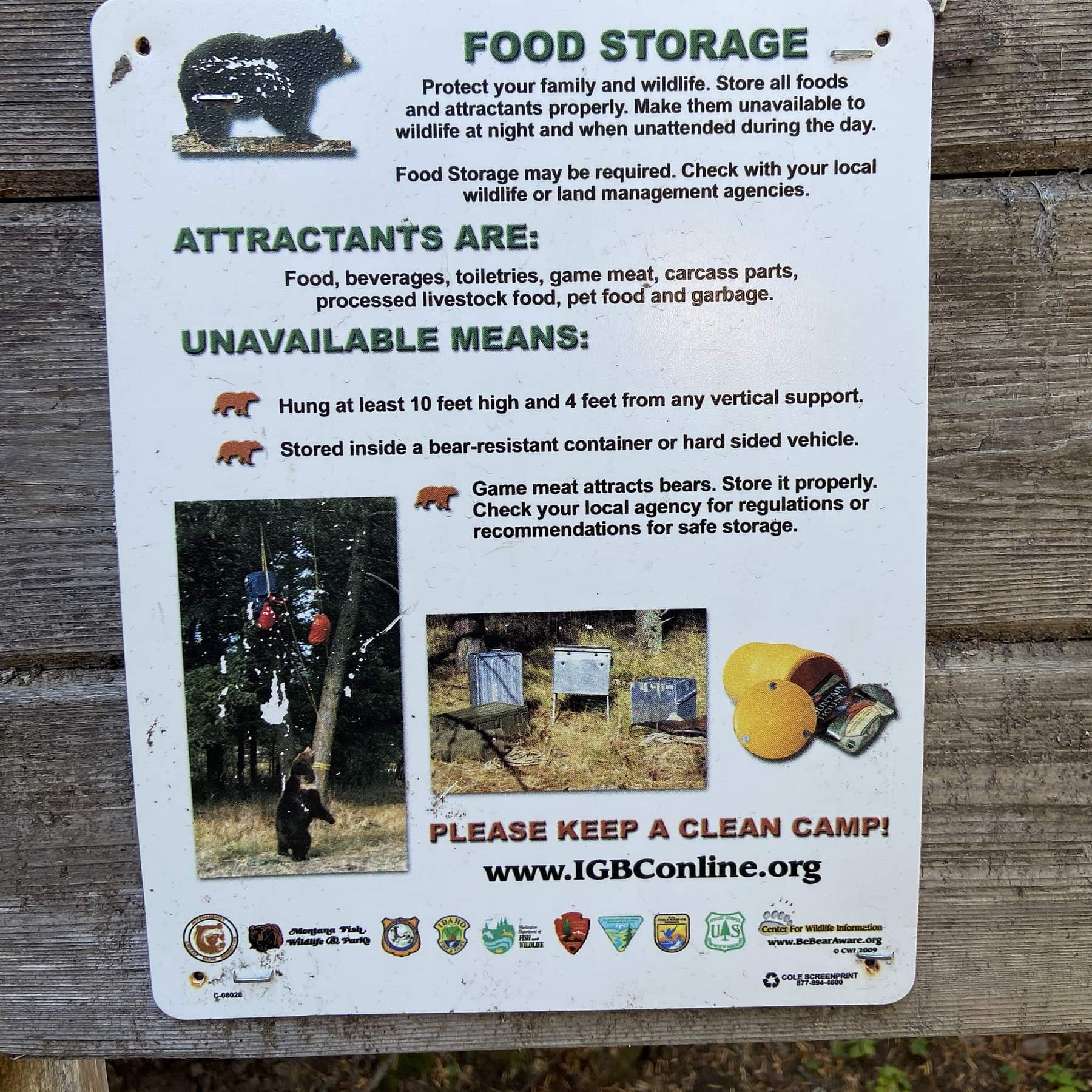 Bear regulations in the Mount Baker area
