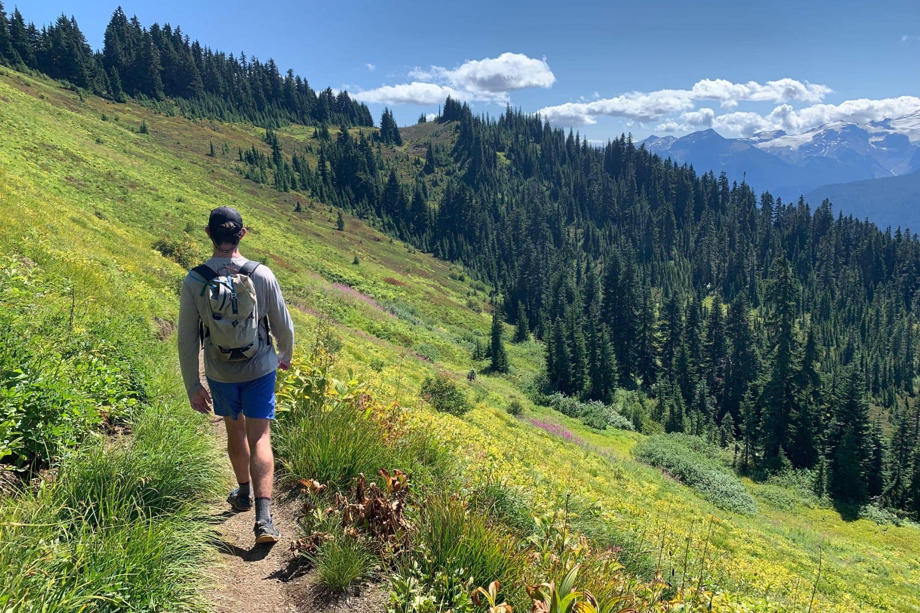 Good hiking shoes will match the terrain.