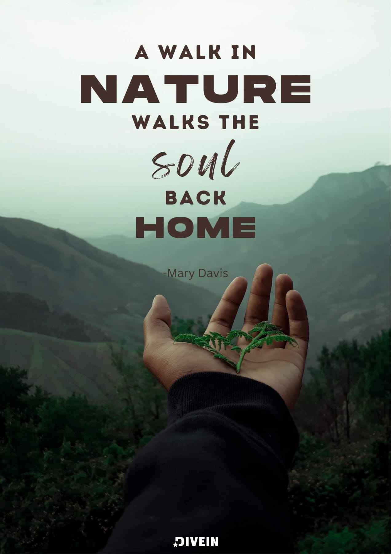 Nature Walk Quotes for Instagram. A walk in nature walks the soul back home.
