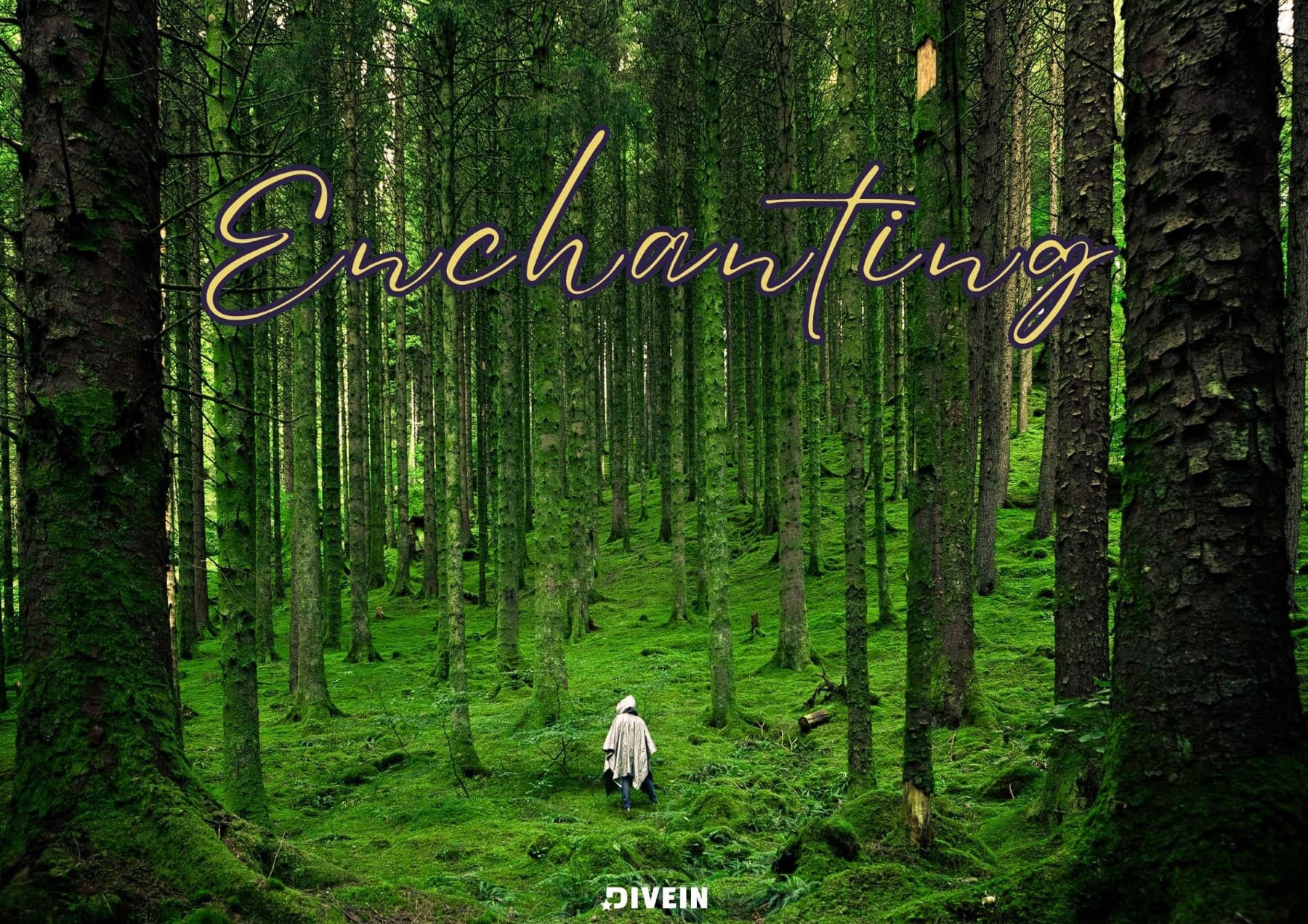 One Word Nature Captions for Instagram. Enchanting