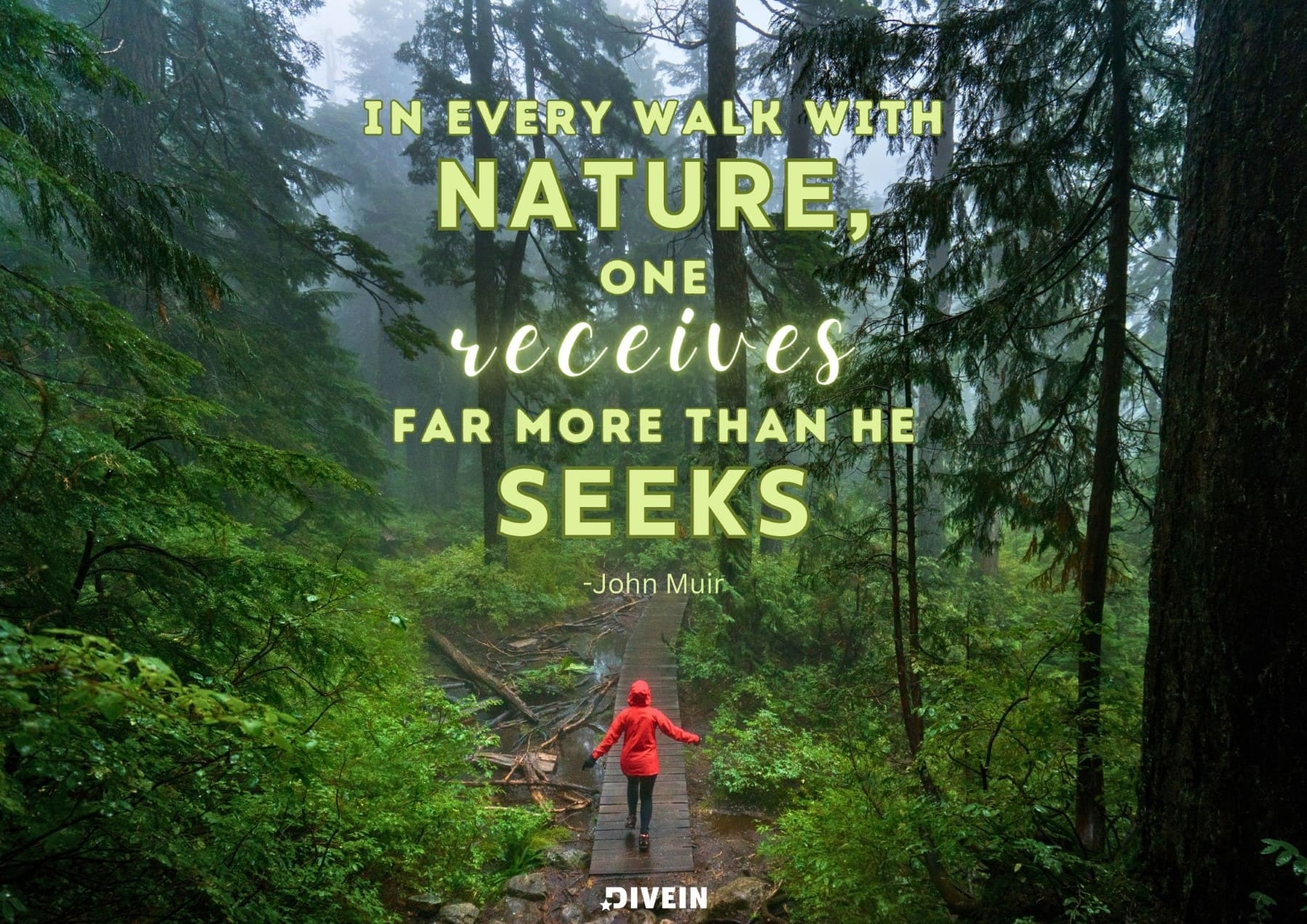 Best Nature Captions for Instagram. In every walk with nature, one receives far more than he seeks. John Muir.