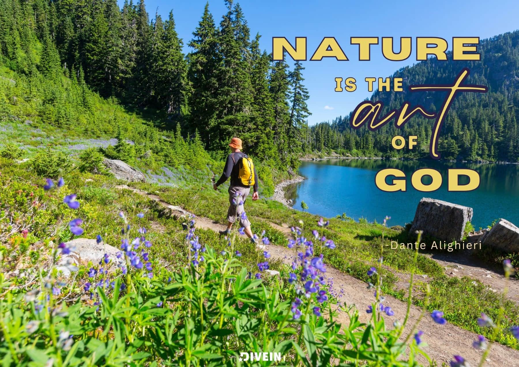 Best Nature Captions for Instagram. Nature is the art of God. Dante Alighieri.