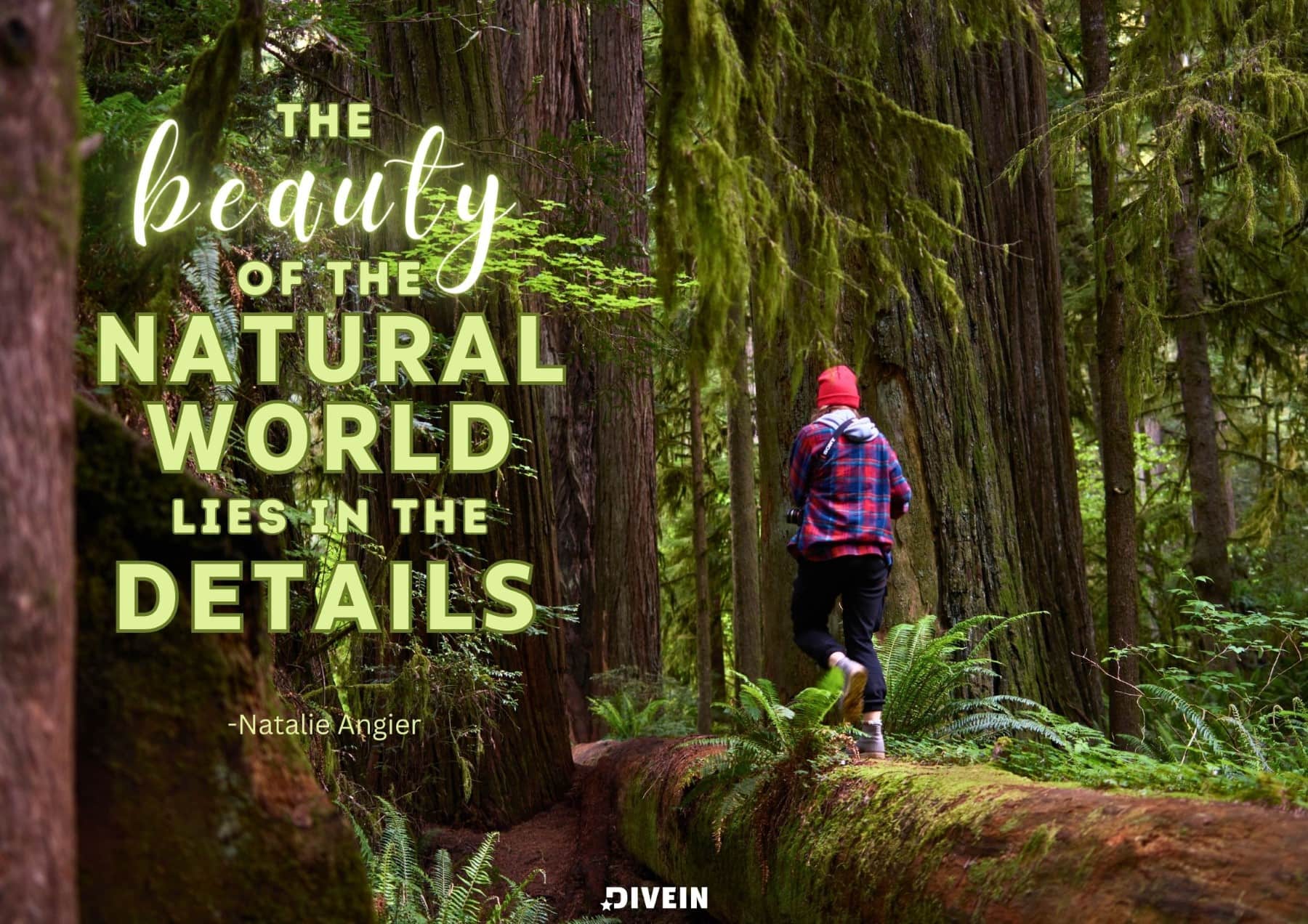 Famous Nature Quotes. The beauty of the natural world lies in the details. Natalie Angier.