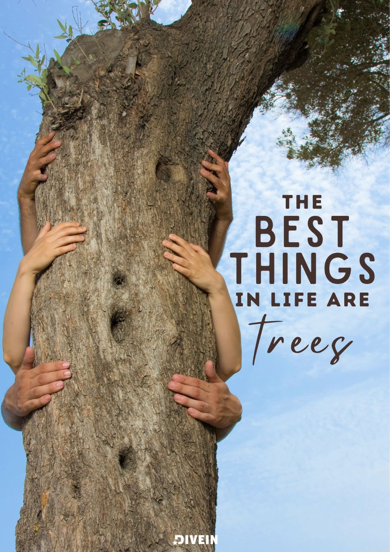 Funny Nature Captions for Instagram. The best things in life are trees.