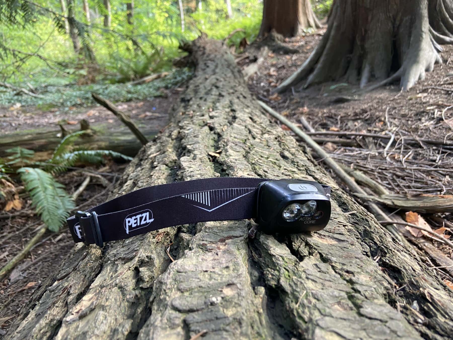 petzl-actik-core-headlamp-on-tree-trunk