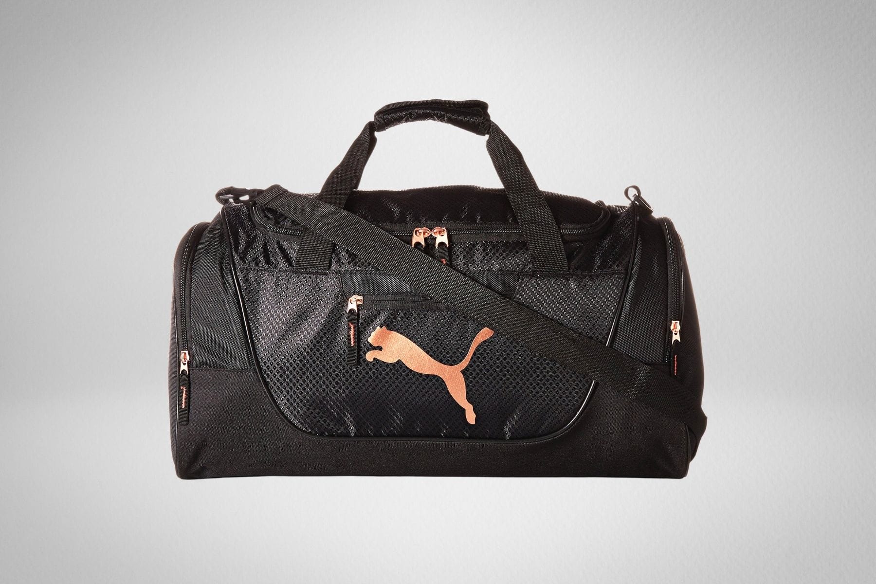 Puma Evercat Candidate