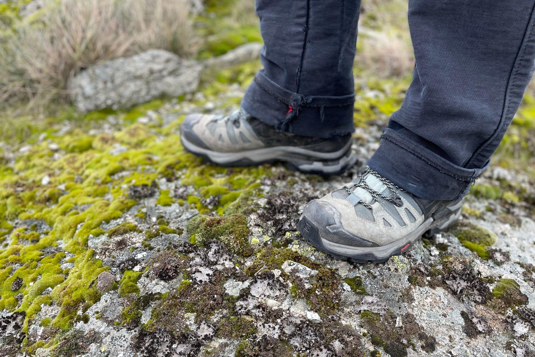 Salomon Quest 4d Gtx Top