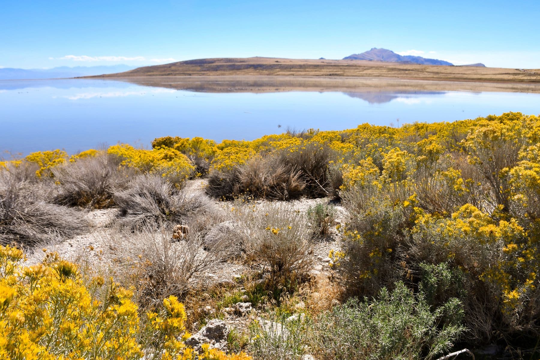 Antelope Island State Park