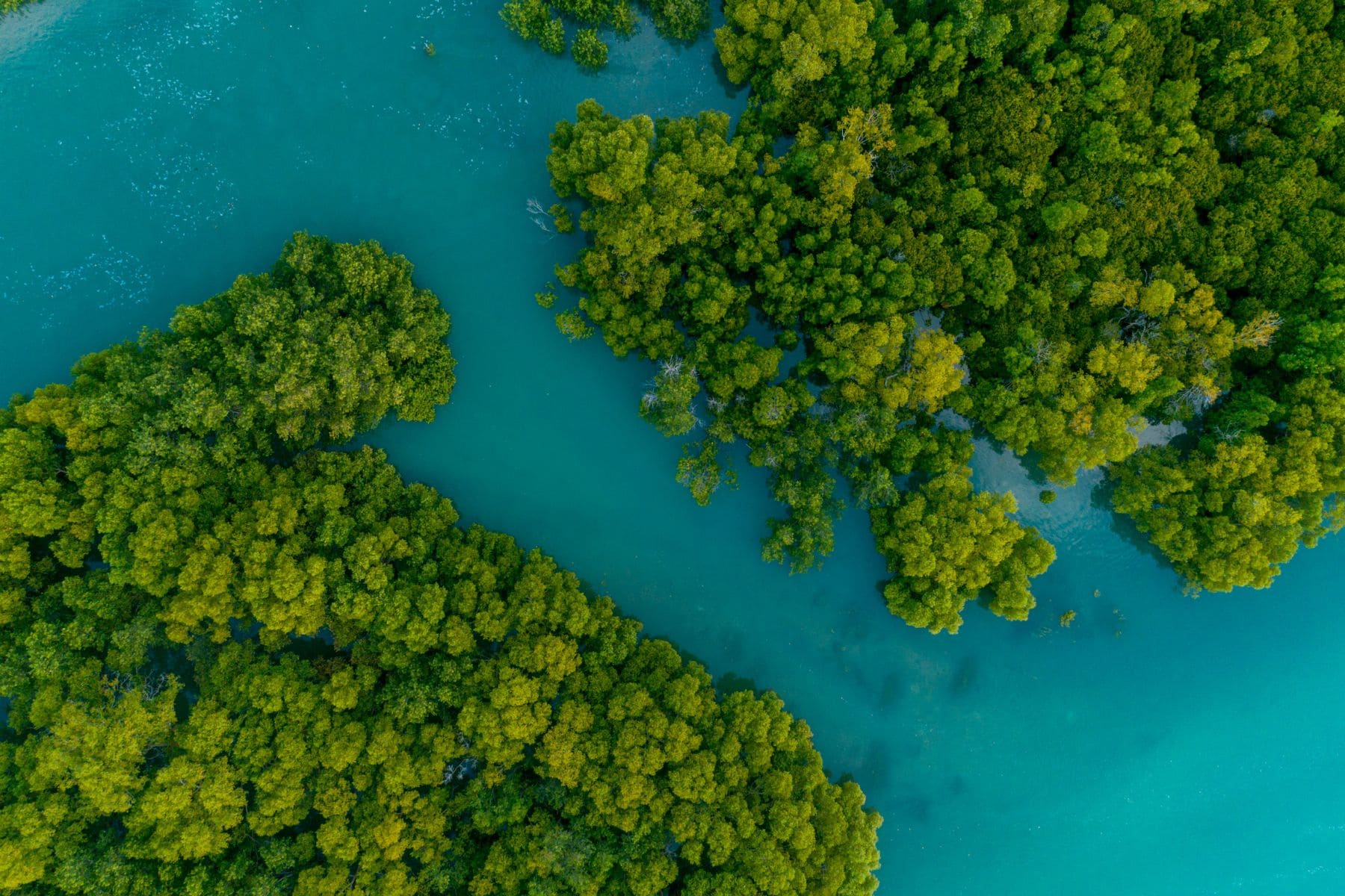 paddling-guide-to-turks-and-caicos-aerial