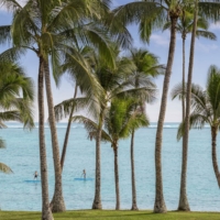 Things to Do in Fiji