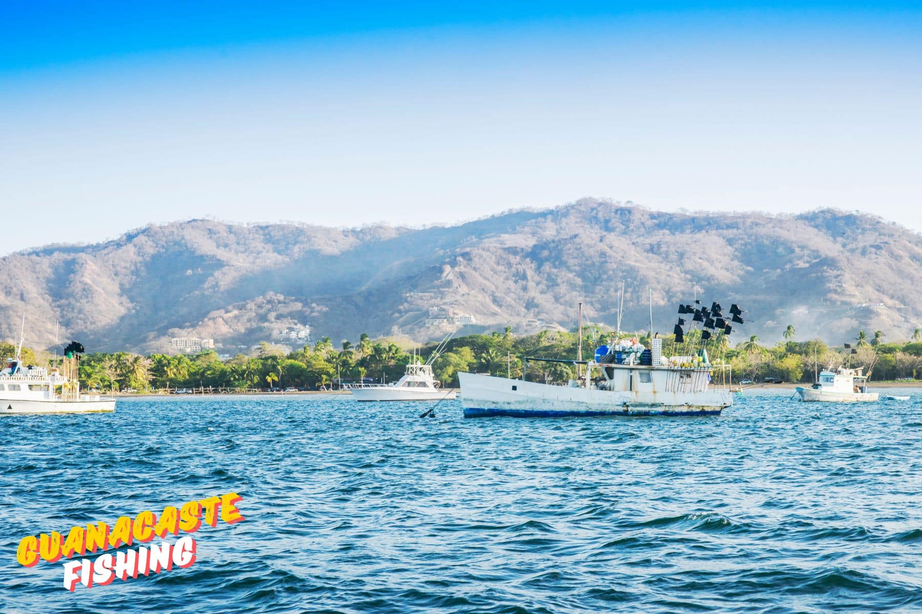 Guanacaste Half-Day Sport Fishing Charters